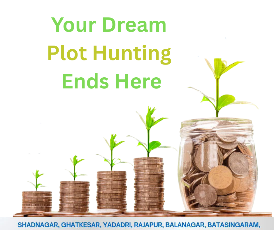 Dream Plot